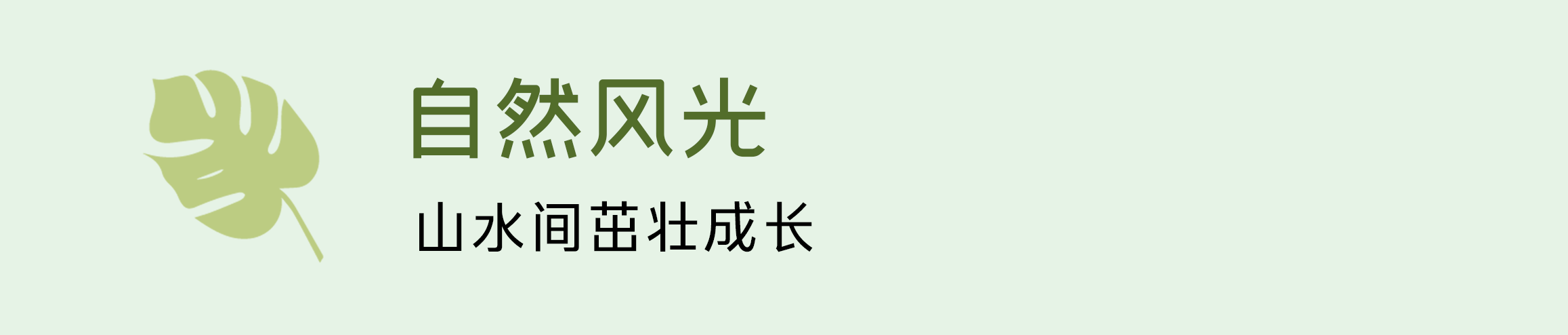 自然风光，山水间茁壮成长
